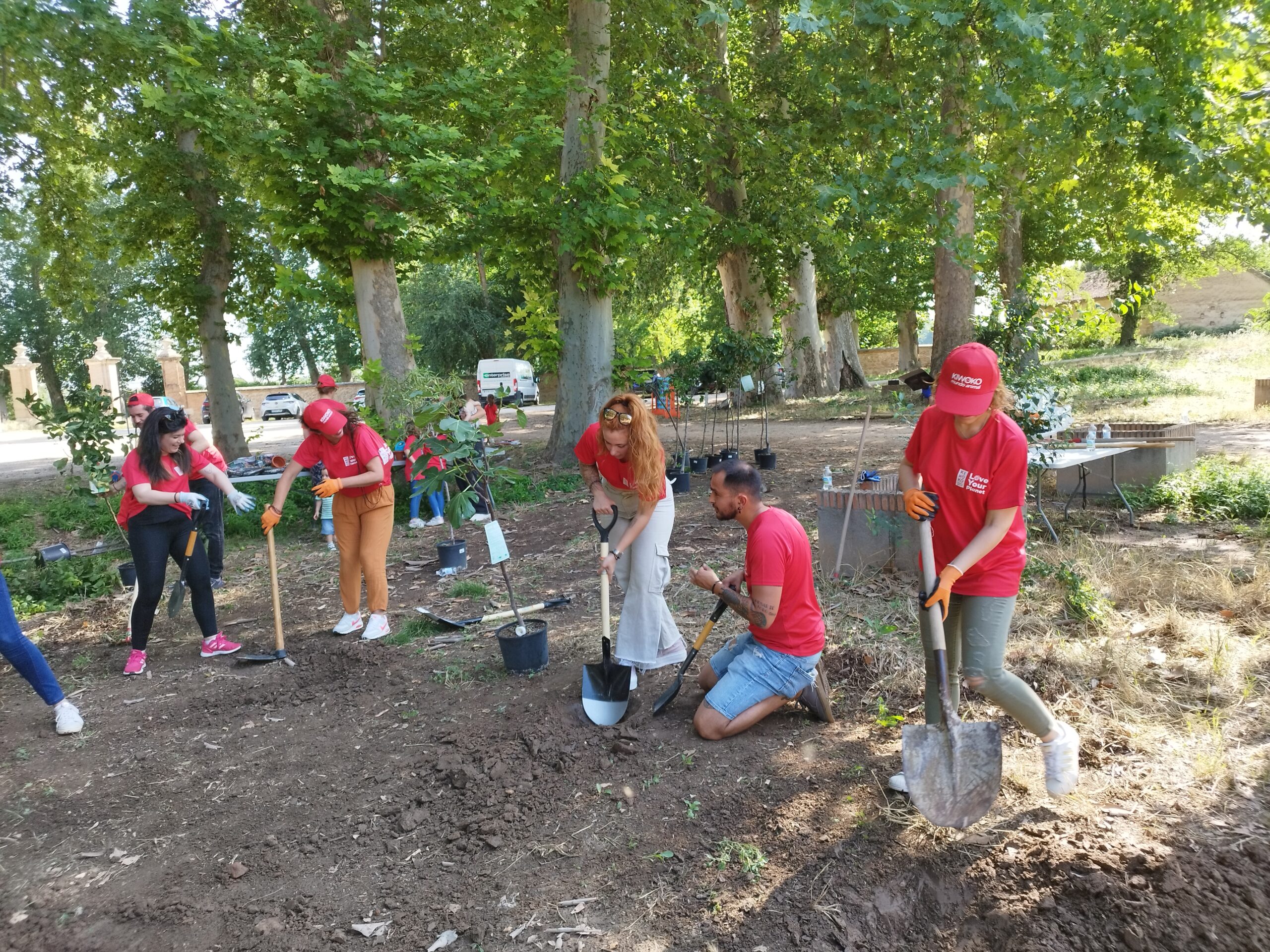 actividad de reforestacion rsc pafa empresas en madrid, malaga, sevilla, barcelona, bilbao, valencia